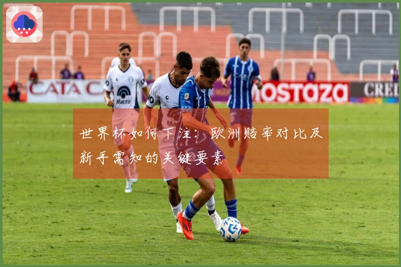 世界杯如何下注：欧洲赔率对比及新手需知的关键要素