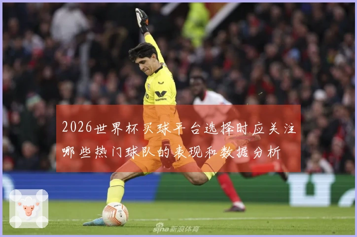 2026世界杯买球平台选择时应关注哪些热门球队的表现和数据分析