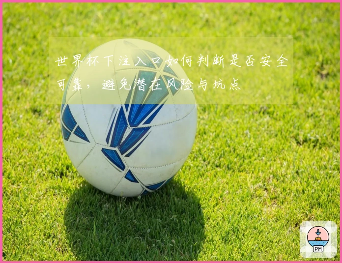 世界杯下注入口如何判断是否安全可靠，避免潜在风险与坑点
