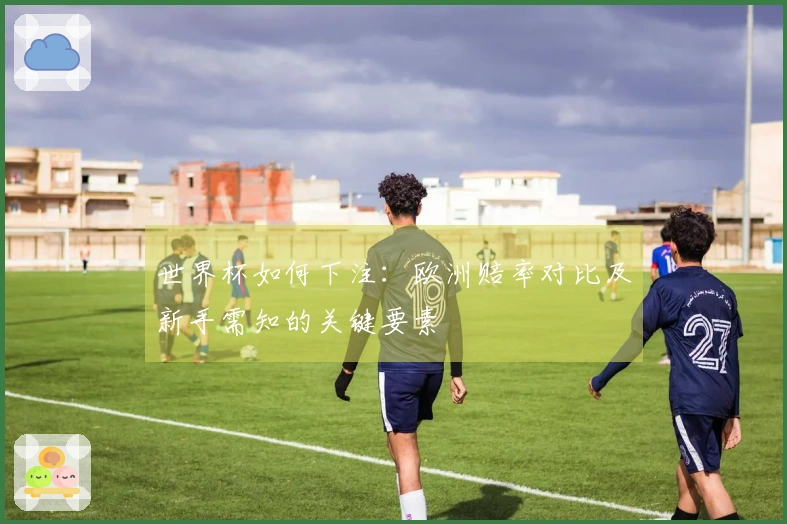世界杯如何下注：欧洲赔率对比及新手需知的关键要素