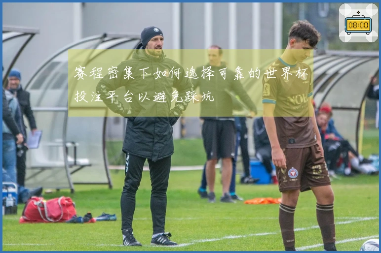 赛程密集下如何选择可靠的世界杯投注平台以避免踩坑